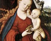 卢卡斯 伊尔 韦基奥 克拉纳赫 : Madonna and Child